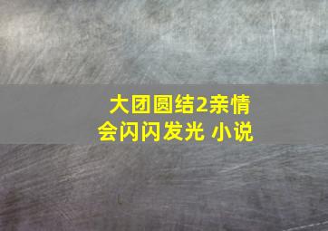 大团圆结2亲情会闪闪发光 小说